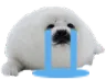 sealcry