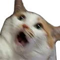 catWaaah