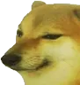 Cheems Cheems