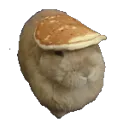 buncakeshake