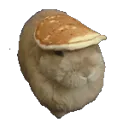 buncakeshake300