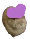 buncakeheart