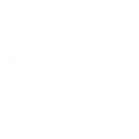 whiteants