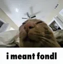 imeantfondl