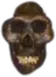 evilshadowskull