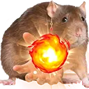 WizaRat
