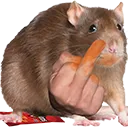 FuckRat FuckRat