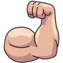 flex flex