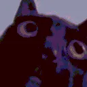 triggeredcat