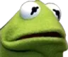 whatthefrog whatthefrog