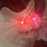 triggercat