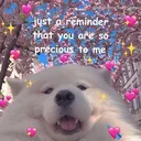 00ff8caab0e240e2aec24e03b1046453