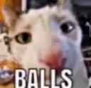 balls