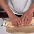 catwhoturnintotacos