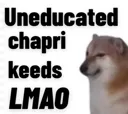 knxkeeds