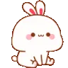 bunnynod