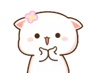 cutecat cutecat