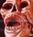 skeletonchair skeletonchair