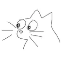 cat_eyes cat_eyes