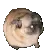 pugPls
