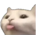 cattongue