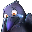 crowcrying crowcrying