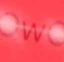 owoked owoked