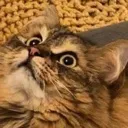 IHaveSeenTheEyesOfGod