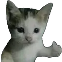 Catthumbs Discord Emoji