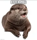 Otter_POG