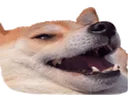 heh