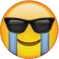 Cryingsunglasses CryingSunglasses Discord Emoji