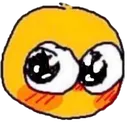shyblush shyblush