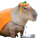 Pumpkinbara