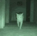 itfollows