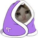 cat_sadcomfy