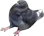 birbsit