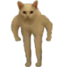 sigma_cat