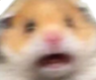 aaaaa Discord emoji