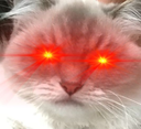 gadselaser