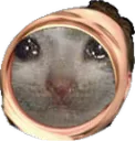 omegasad