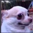 __