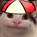 belugajr belugajr