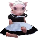 mk_BingusCat