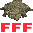 FLATFUCK
