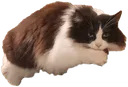 LoafOfMinnie