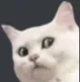 NOT_whatt