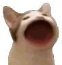 pog