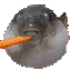 856467222914793513