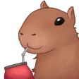 amilcarCarpinchomate